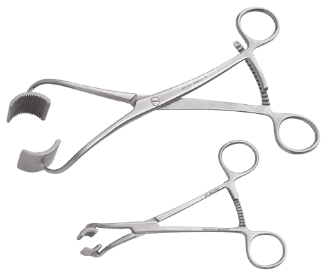 Bargo Bone Holding Clamp