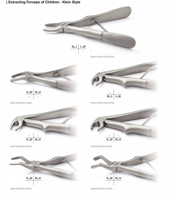 Extracting Forceps of Children - Klien Style